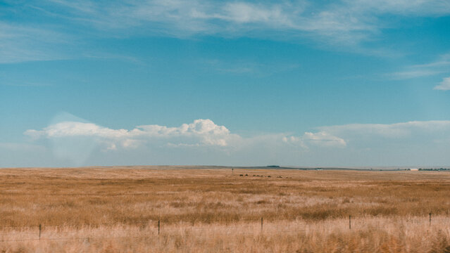 Wyoming Landscape