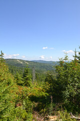 Nationalpark Bayerischerwald, Winterwanderweg