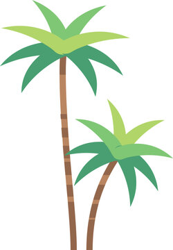 Exotic forest tree flat icon. Tropical palm