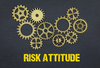 Risk attitude	