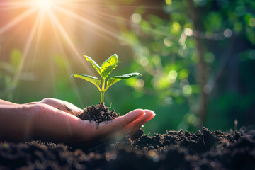 Earth Day Environmental protection Humans hold seedlings and hope
