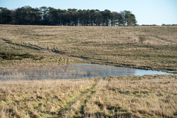 a winter vale with a pool of relective flood water, Wiltshire UK