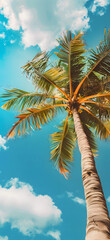 Low angle shot of a palm tree against blue sky. Tropical vacation concept. Wallpaper. 