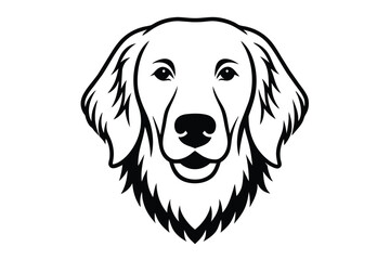 an exhibition golden retriever looks at the camera vector illustration 6.eps