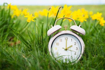 Alarm clock with daffodils flowers, switch to daylight saving time in spring, summer time...