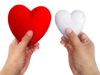 foam hearts in hand, transparent background