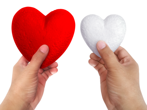 foam hearts in hand, transparent background