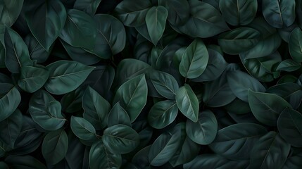 Generative AI : Dark green leaf texture, Natural green leaves using as nature background wallpaper
