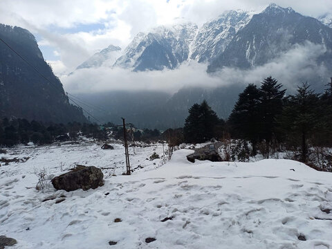 A Snowy Winter at North Sikkim, India