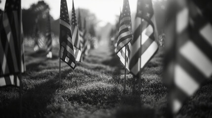 A black and white image of the flags, focusing on the solemnity and timeless respect for the...