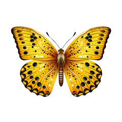 a yellow butterfly with black spots