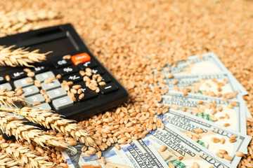 Dollar banknotes, calculator and wheat ears on grains, closeup. Agricultural business