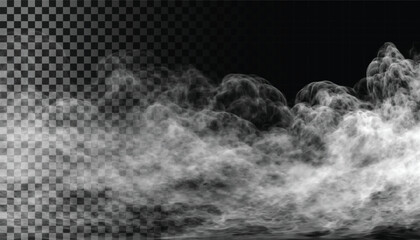 Adobe Illustrator Artwork Fog or smoke isolated transparent background. White cloudiness, mist, smog, dust, smoke, vapor PNG - obrazy, fototapety, plakaty