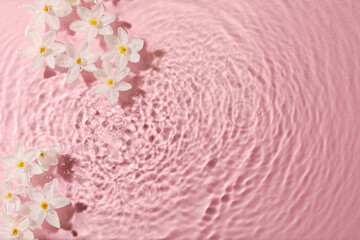 Beautiful daffodils in water on pink background, top view. Space for text