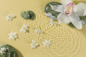 Beautiful flowers and spa stones in water on pale yellow background, top view