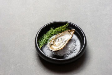 Half shell shucked oysters on a bed of salt