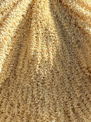 Palm flowers background. Sunny tropical summer day. Happiness and tranquility emotions. Suitable for decor, design.