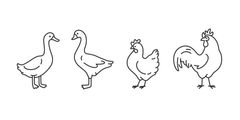 Domestic fowl. Cute animals icons set - duck, chick, goose, cock. Vector illustration with farm bird in cartoon style.
