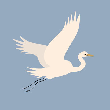 Stork flying. Cute bird illustration. Vector illustration for prints, clothing, packaging, stickers.