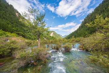 Bonsai beach waterfall in Jiuzhaigou, Sichuan, China