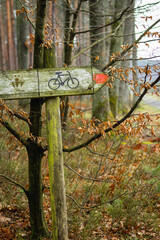 Szlak, trasa rowerowa w lesie w pochmurny dzień - obrazy, fototapety, plakaty