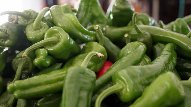 Green frigitelli peppers, mildly spicy and perfect for grilling or saut&eacute;ing.