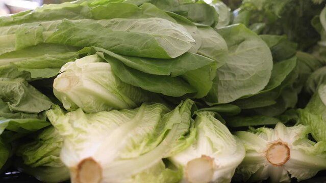  Fresh Salad Greens at the Heart of Italian Market
