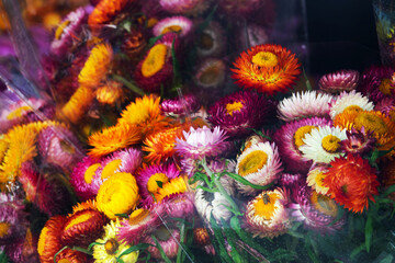 A bunch of flowers with different colors and sizes