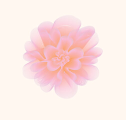 beauty industry logotype, harmony pink flower logo