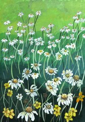 A hand-drawn gouache field with white daisies and yellow flowers. a summer village landscape.
