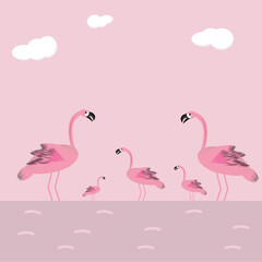 Pink flamingos resting in the lake