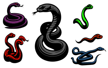 silhouette black and colorful snake