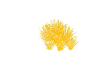 light yellow pencil strokes isolated on transparent background
