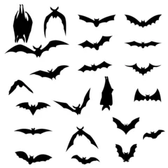 Fotobehang Bats collection isolated on white © Jazz Allen