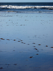 Beach and sand - Lunan Bay - Scotland - UK