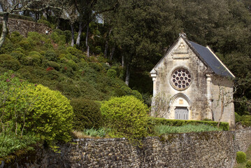Fototapeta na wymiar Buxus sempevirens, Buis, Les jardins suspendus, chateau de Marqueyssac, 24, Dordogne, France