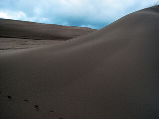 Newburgh beach - dunes and sand - shore - Ythan estuary - Newburgh - Aberdeenshire - UK