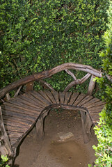 Buxus sempevirens, Buis,  Les jardins suspendus, chateau de Marqueyssac, 24, Dordogne, France