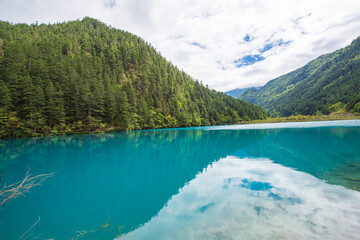 Blue lake in Jiuzhaigou Valley, Sichuan, China