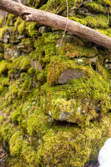Mossy Glacial Potholes and Waterfall in Vermont