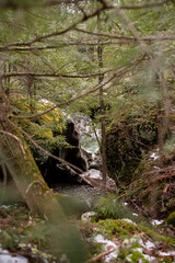 Mossy Glacial Potholes and Waterfall in Vermont