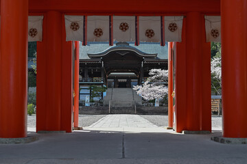 滋賀 近江神宮の楼門 - obrazy, fototapety, plakaty