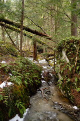 Mossy Glacial Potholes and Waterfall in Vermont