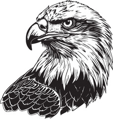 Eagle vector black and white