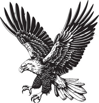 Eagle vector black and white
