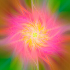 Pink and yellow flower mirrored geometric kaleidoscope mandala background fractal art piece