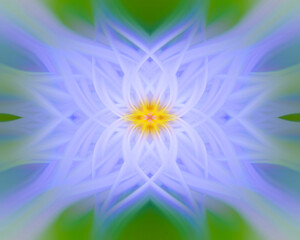 Obraz premium Purple and yellow flower mirrored geometric kaleidoscope mandala background fractal butterfly art piece