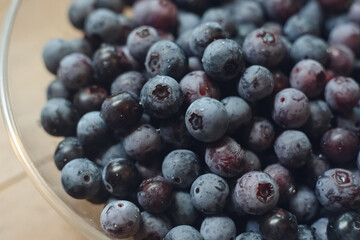 家庭菜園、庭で採れたブルーベリーの実、朝採れ、ガラスのボウルに入ったブルーベリーの山