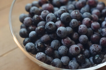 家庭菜園、庭で採れたブルーベリーの実、朝採れ、ガラスのボウルに入ったブルーベリーの山
