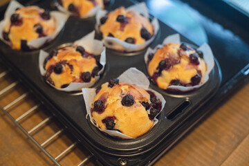 庭で採れたフレッシュなブルーベーリーで家庭で手作りしたブルーベリーマフィン